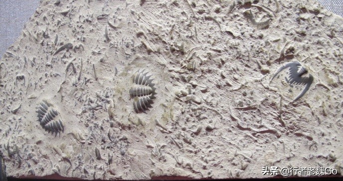 武当山南岩玄武石碑之谜,武当山之谜完整版