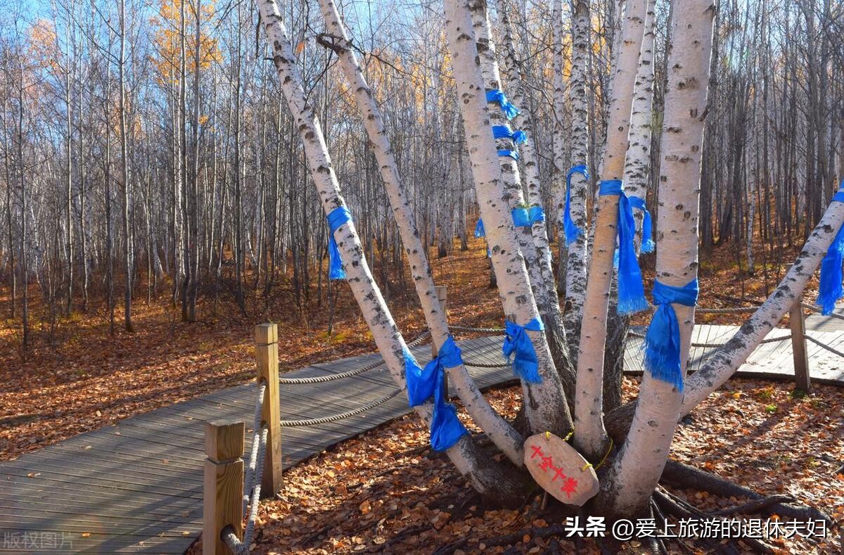 海拉尔额尔古纳一日游最佳方案,海拉尔自驾去额尔古纳旅游攻略