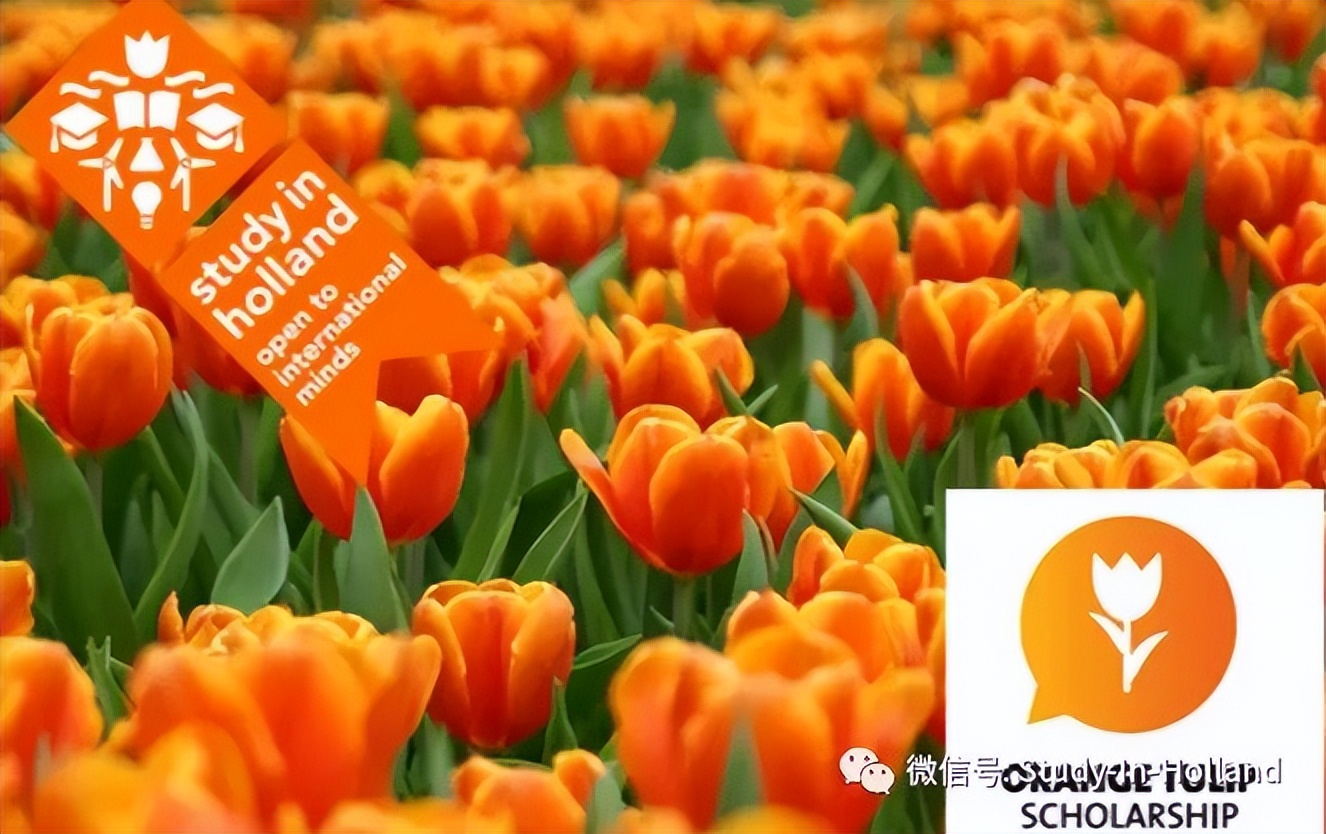留学费用5w人民币生活费一年两万,留学荷兰一年费用高中