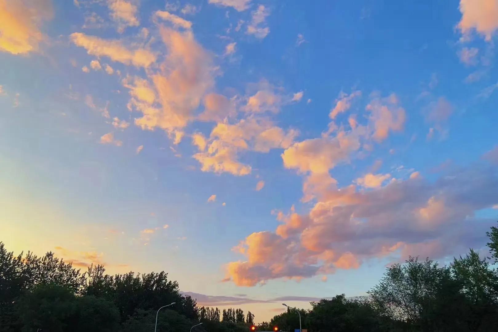 21世纪的生意电子书下载,21世纪的生意读后感