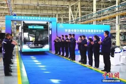 看世界杯心情感慨,看世界杯的观后感