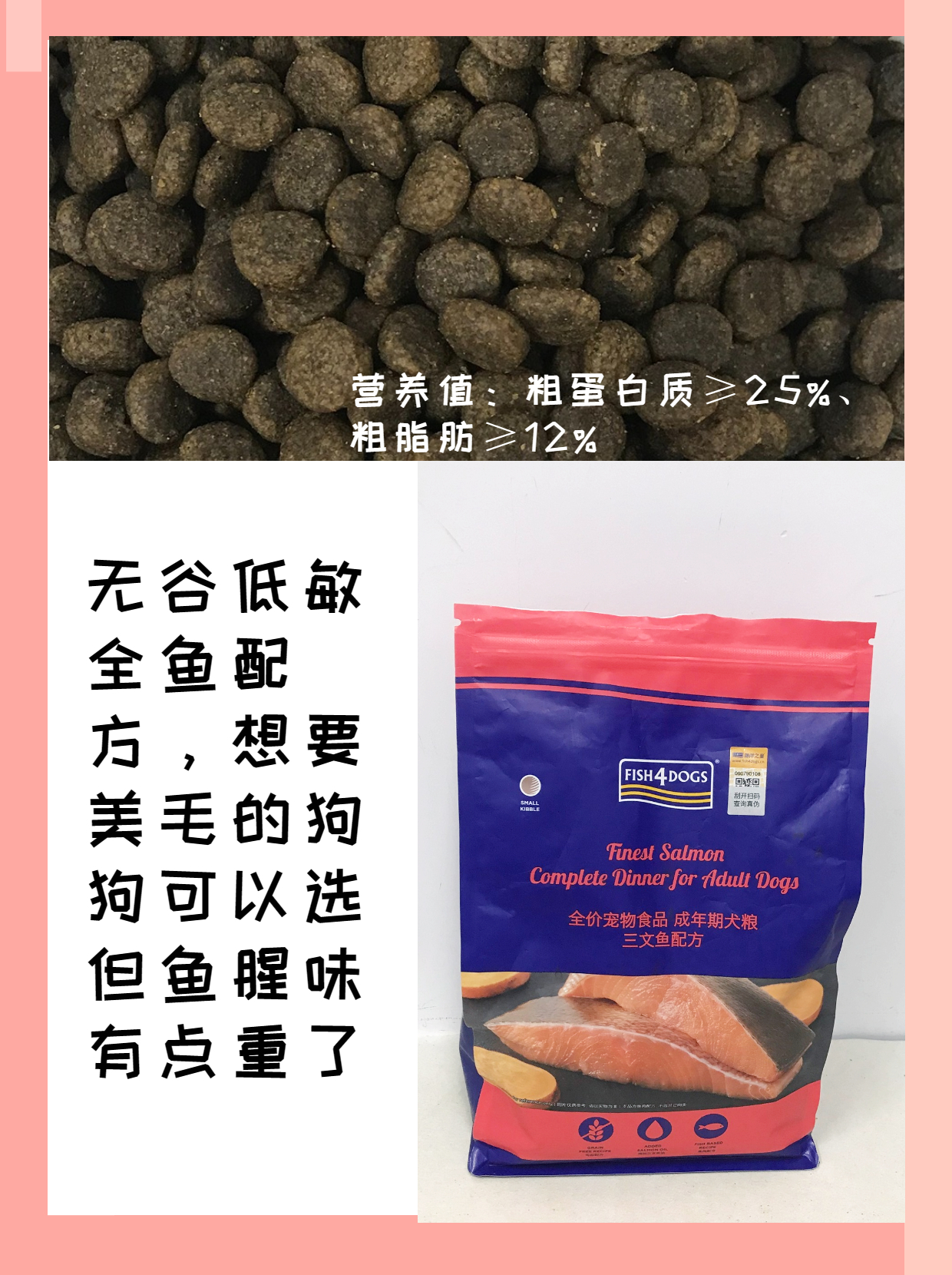 吃货狗狗的待遇|狗粮推荐