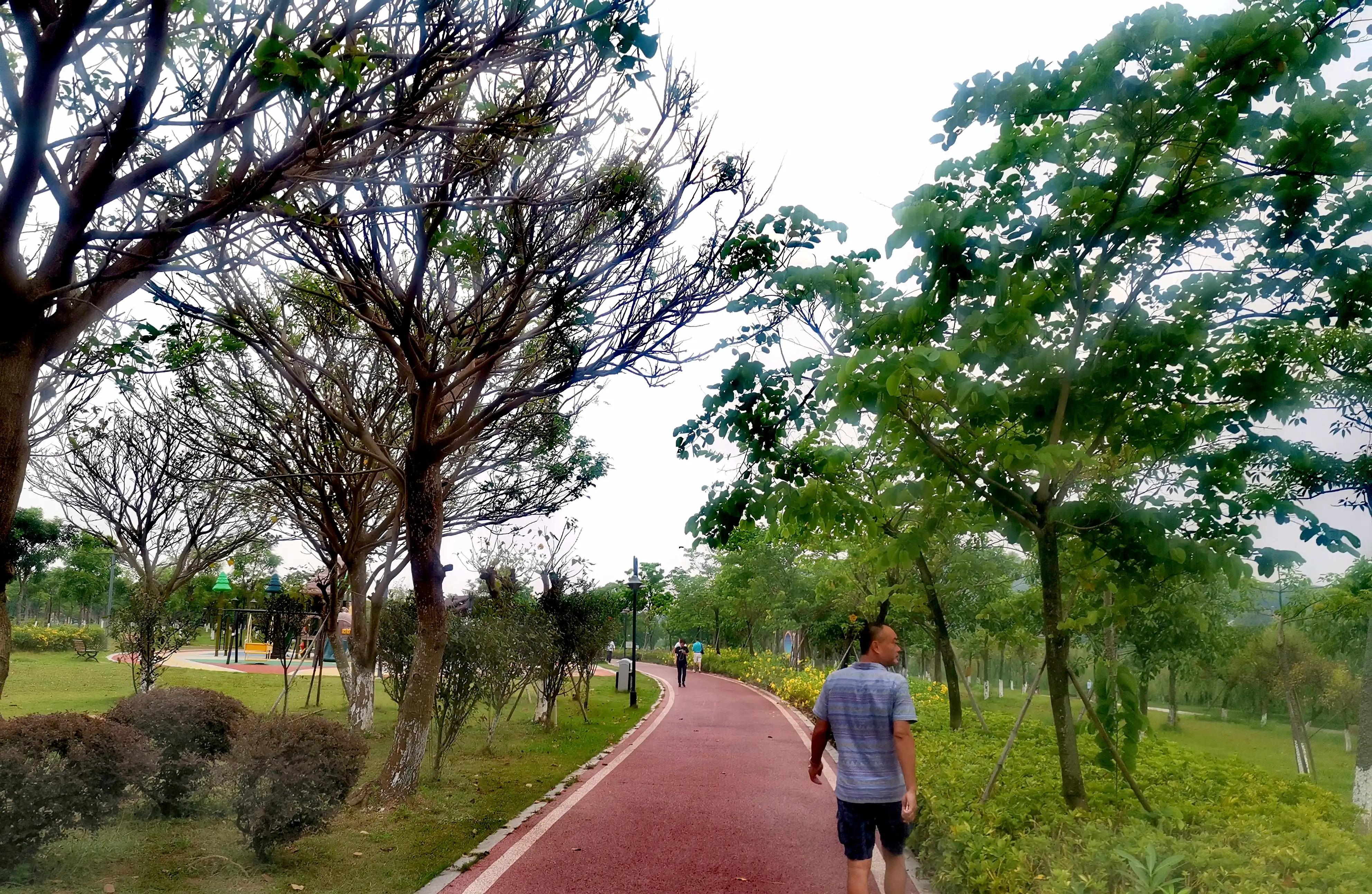 漳州市美丽的小镇,漳州长泰区旅游