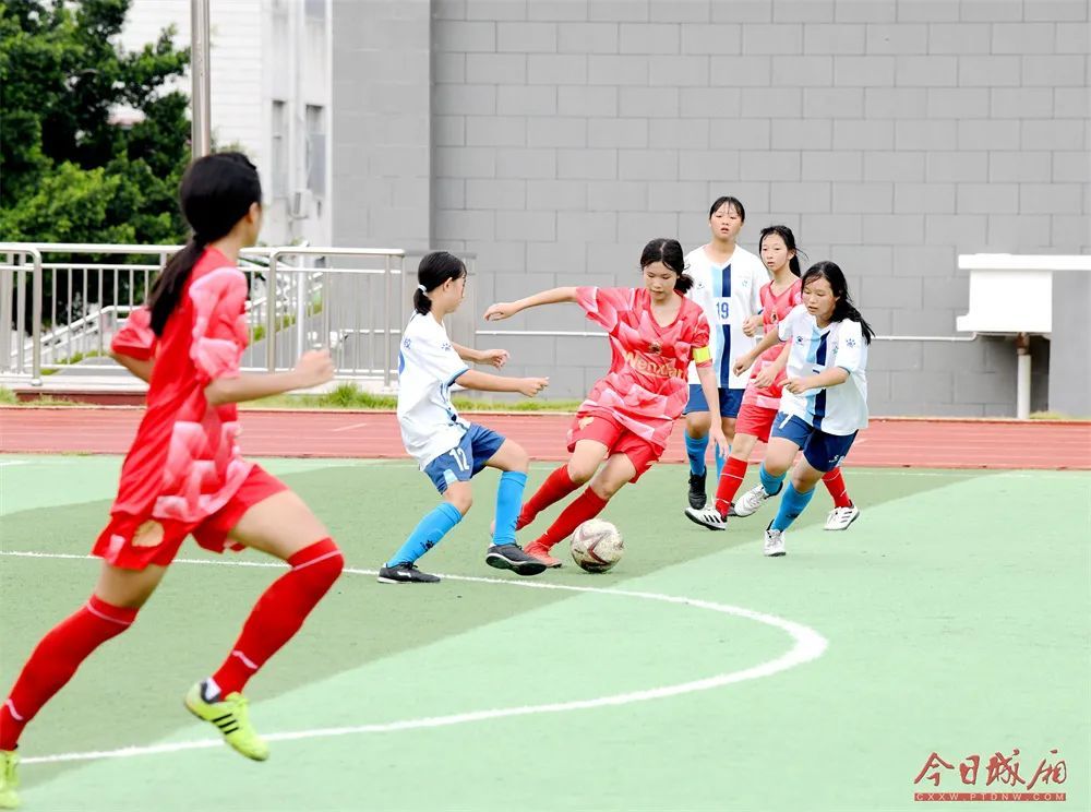 莆田花开,莆田开花