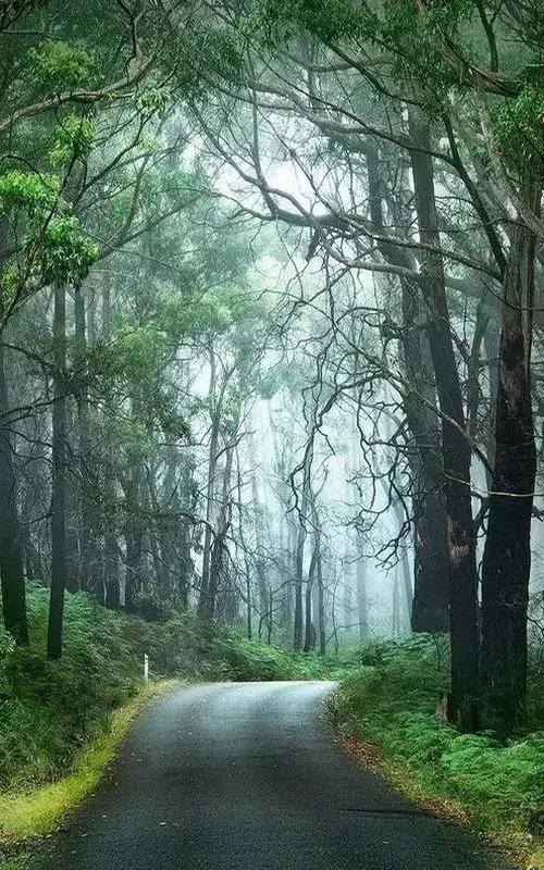 100张绝美风光摄影作品简介,最好的摄影风景照片