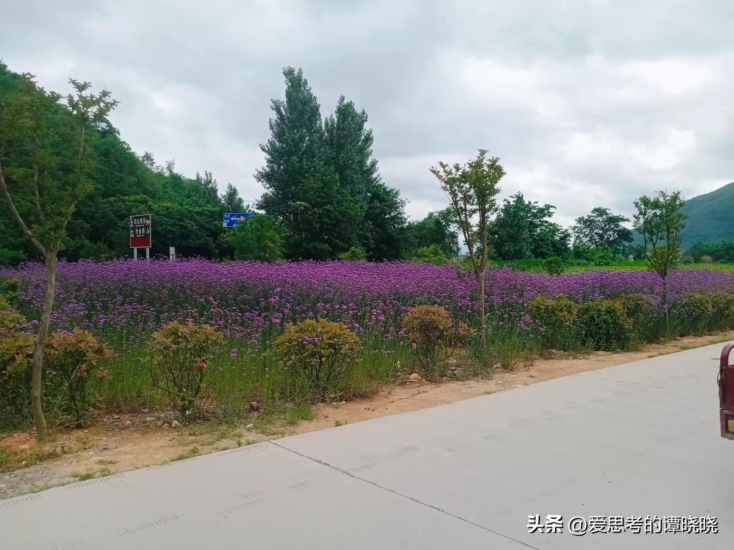 感冒咳嗽来例假可以打针吗,来例假吃感冒药会不会有什么影响