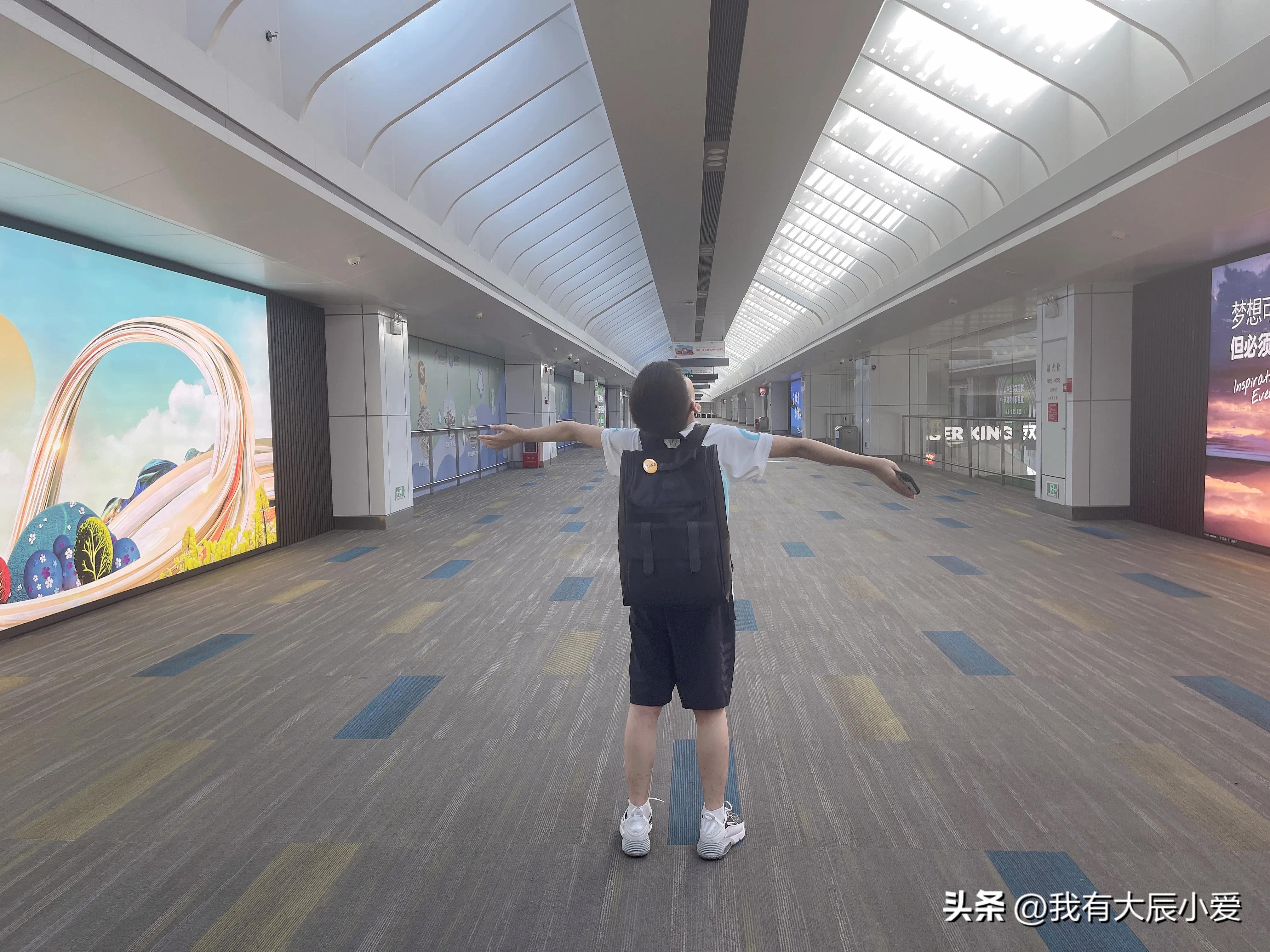 去澳门带小孩攻略,带娃去澳门好玩吗