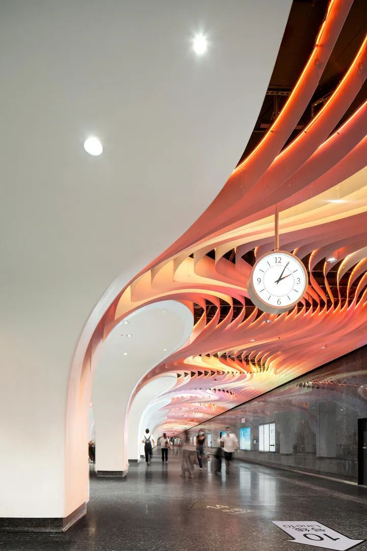 上海市白玉兰荣誉奖,上海白玉兰荣誉奖2020