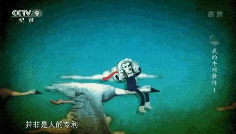 初中生必看的物理纪录片,初中学生适合看的物理纪录片