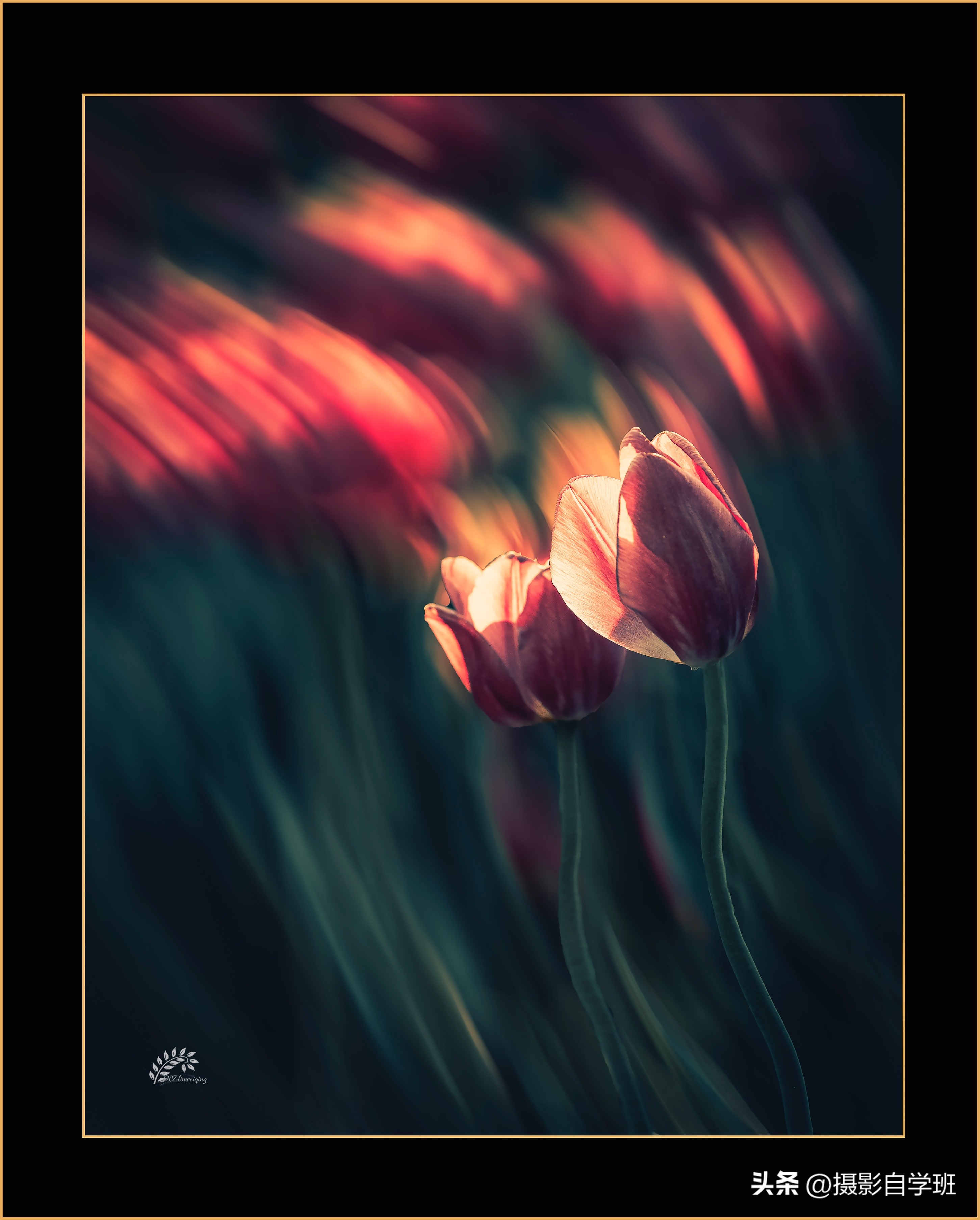 第二十一届摄影作品征稿,摄友投稿图片