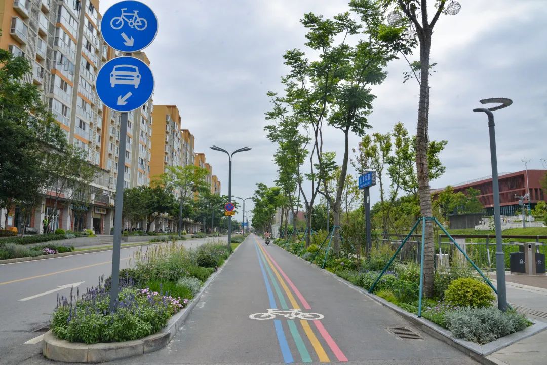 迎大运·遇见最美街区|“美丽街区”上新它们何以美丽？