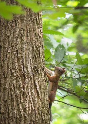 文学角LiteratureCorner（儿童读本）