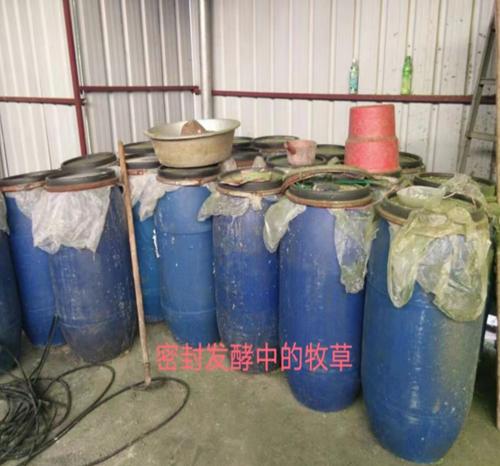 助农第三代超细粉碎机：柳州韦老板分享“土味十足”养殖新方法