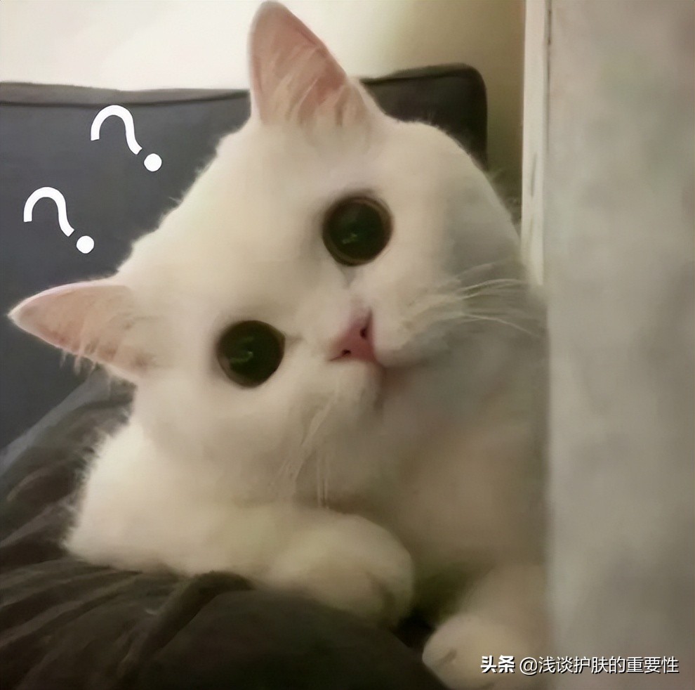 如何评价好的护肤品,经典护肤品测评怎么写评价