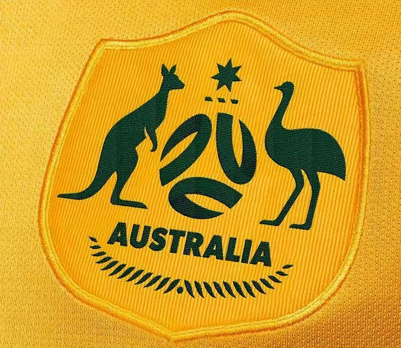 老鹰和狮子见面,老鹰与狮子大战