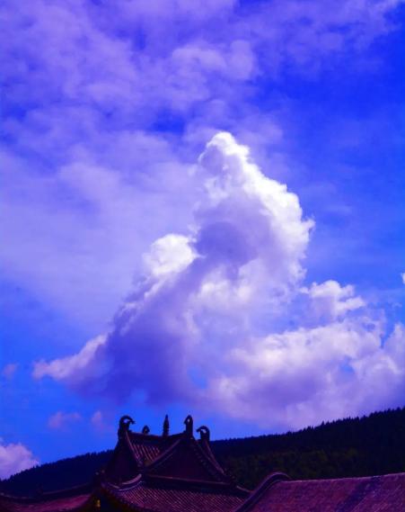 93年五台山出现的佛光,五台山老和尚圆寂天现异象