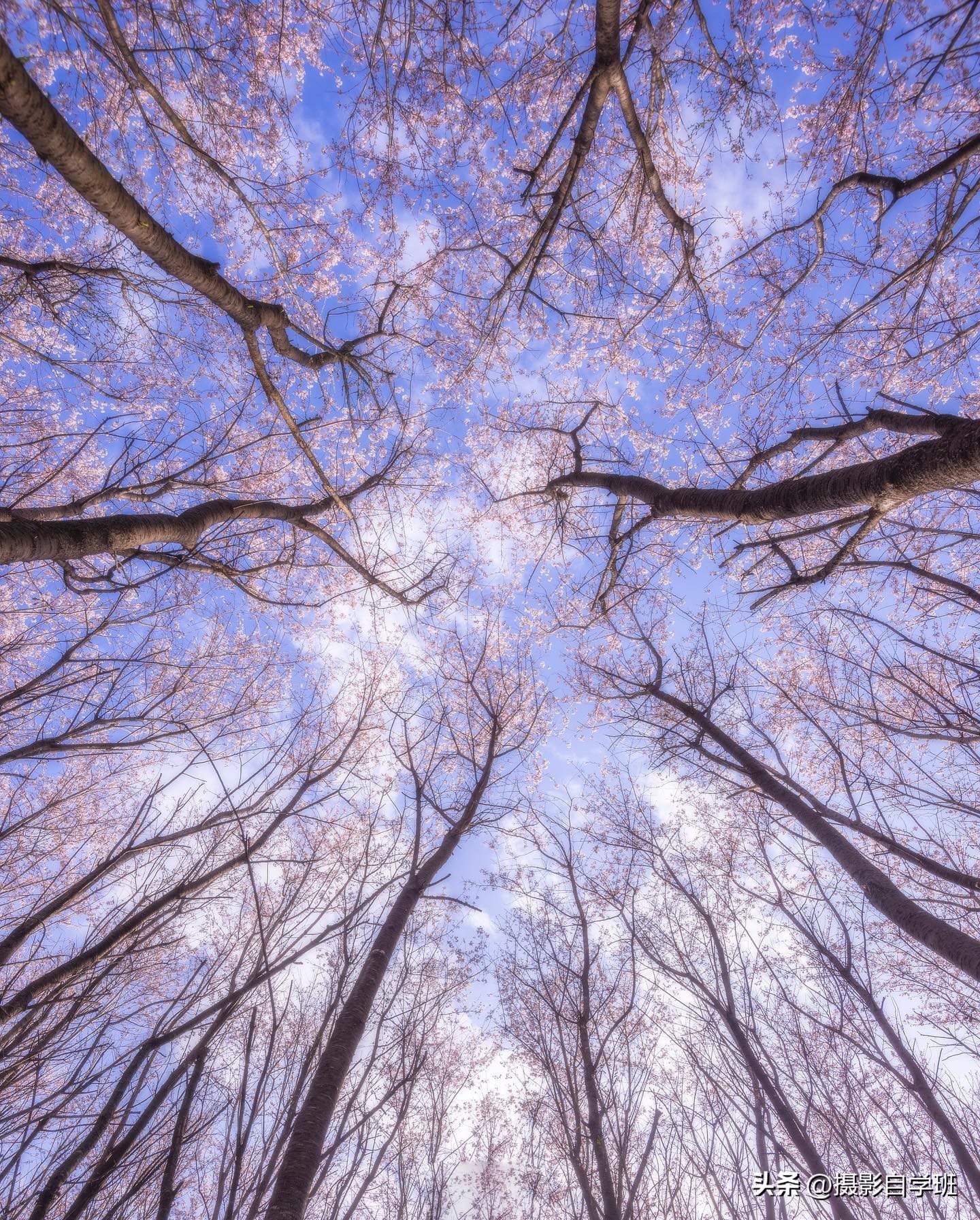 夏天怎么拍照更有夏天感觉,如何拍好夏天的照片