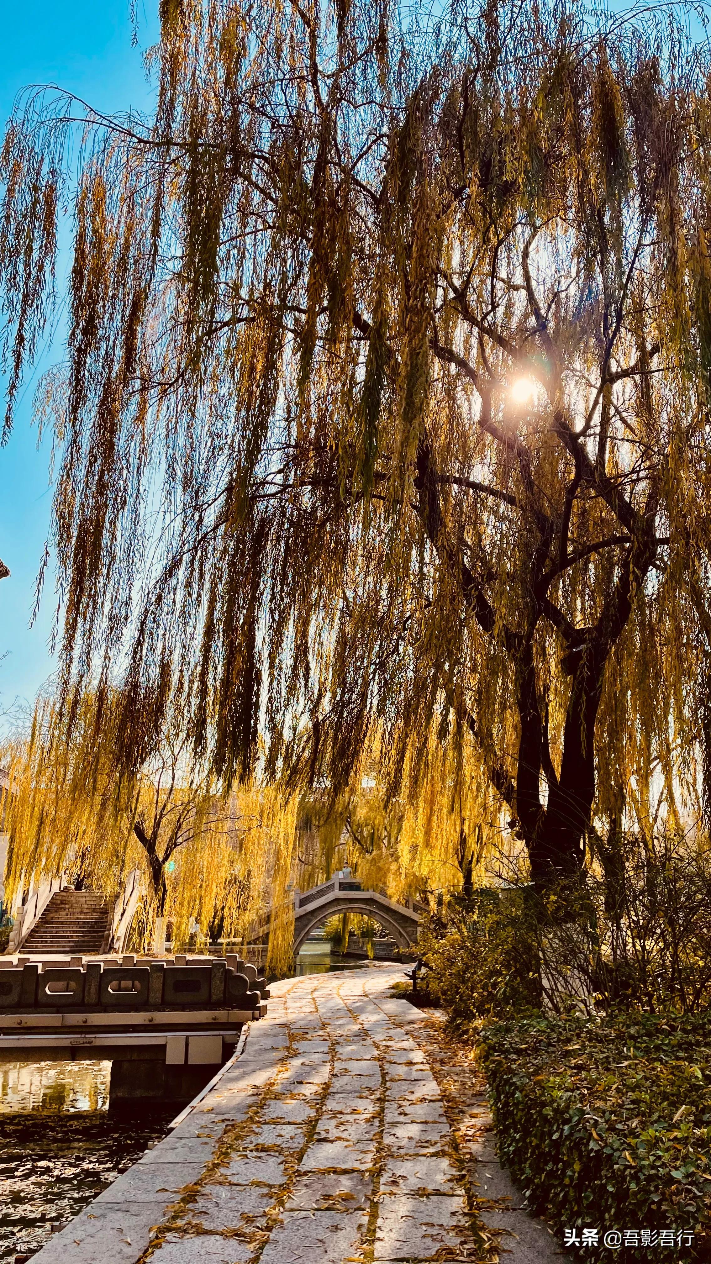 济南大明湖秋冬图片高清,初春大明湖美景图片