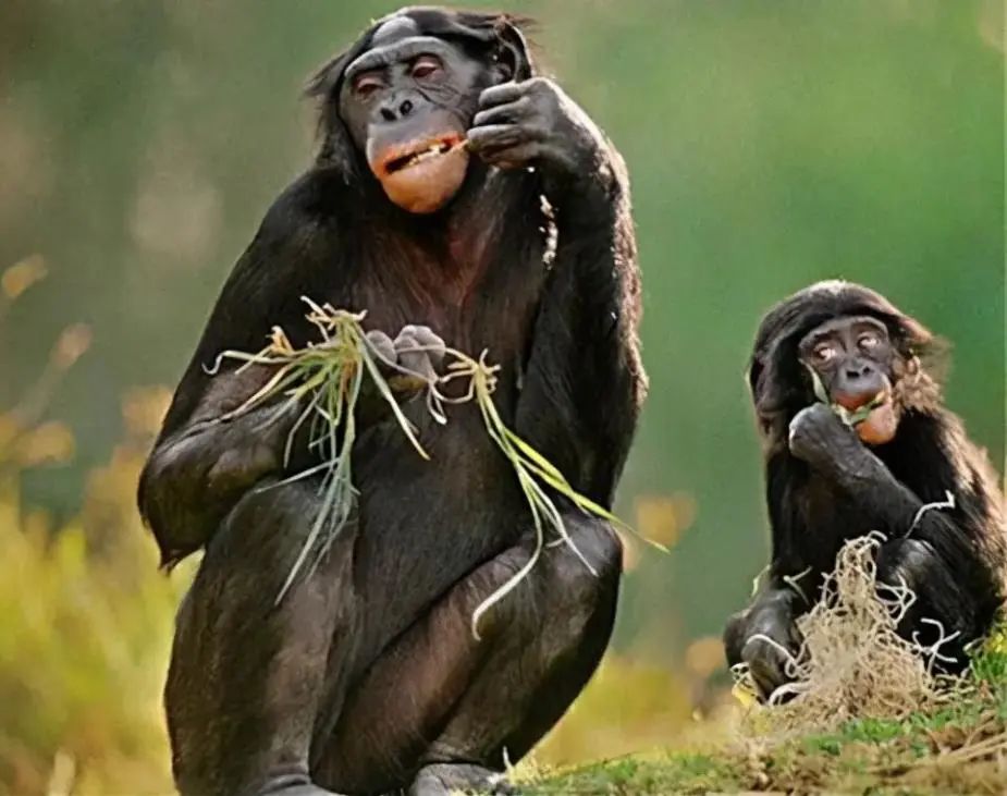 多灾多难，我们的未来还会好吗？