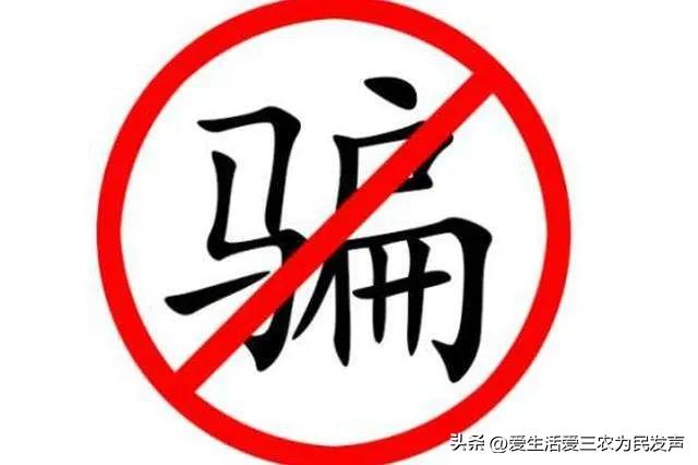 公鸡和母鸡的鸡宝哪个最值钱,鸡宝是在母鸡身上还是公鸡身上