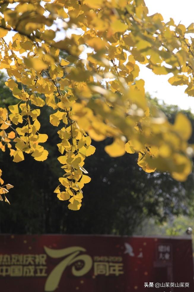 芜湖旅游攻略教堂,芜湖鸠兹风景区