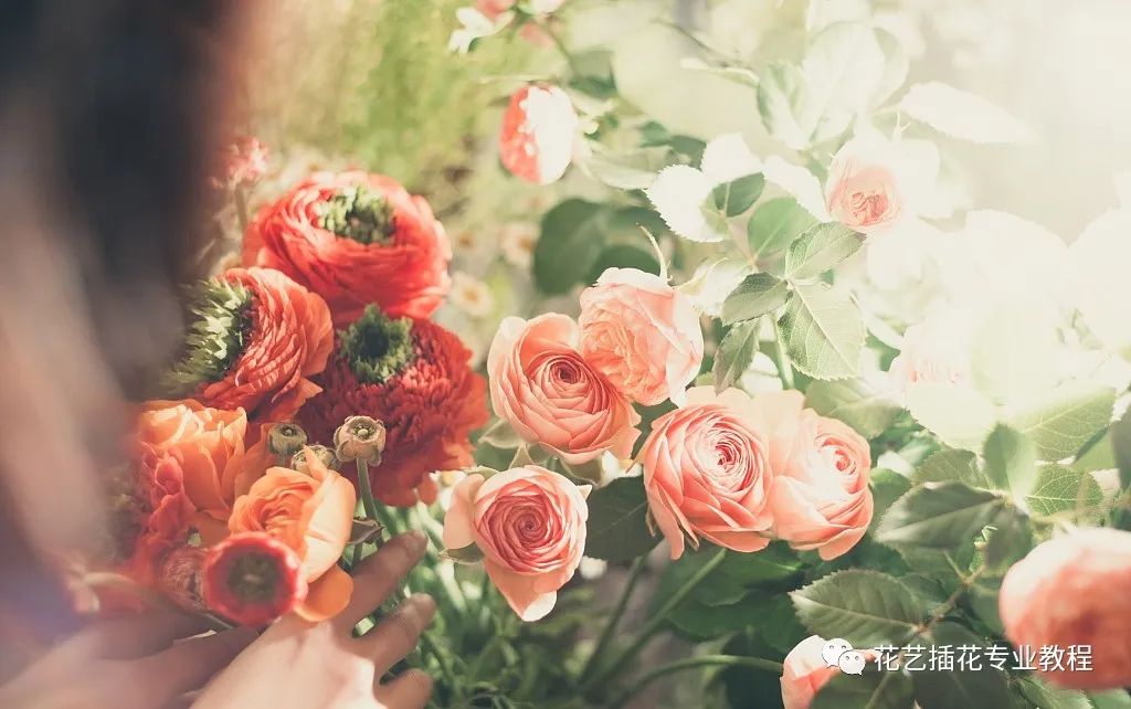 花店店铺名字推荐,给花店取一个富有创意的店名