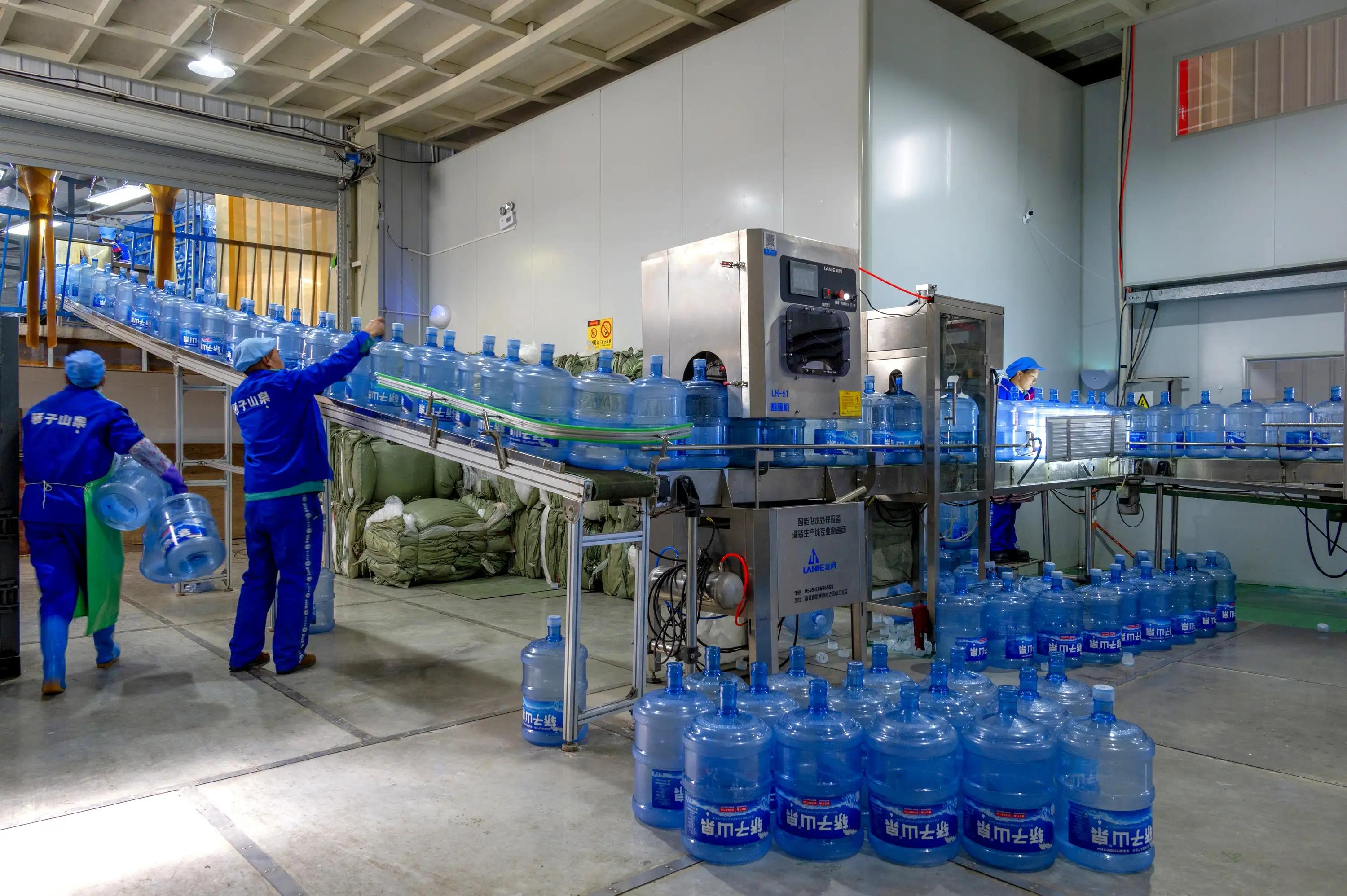 优秀青年人才回村创业项目,回乡创业致富好青年