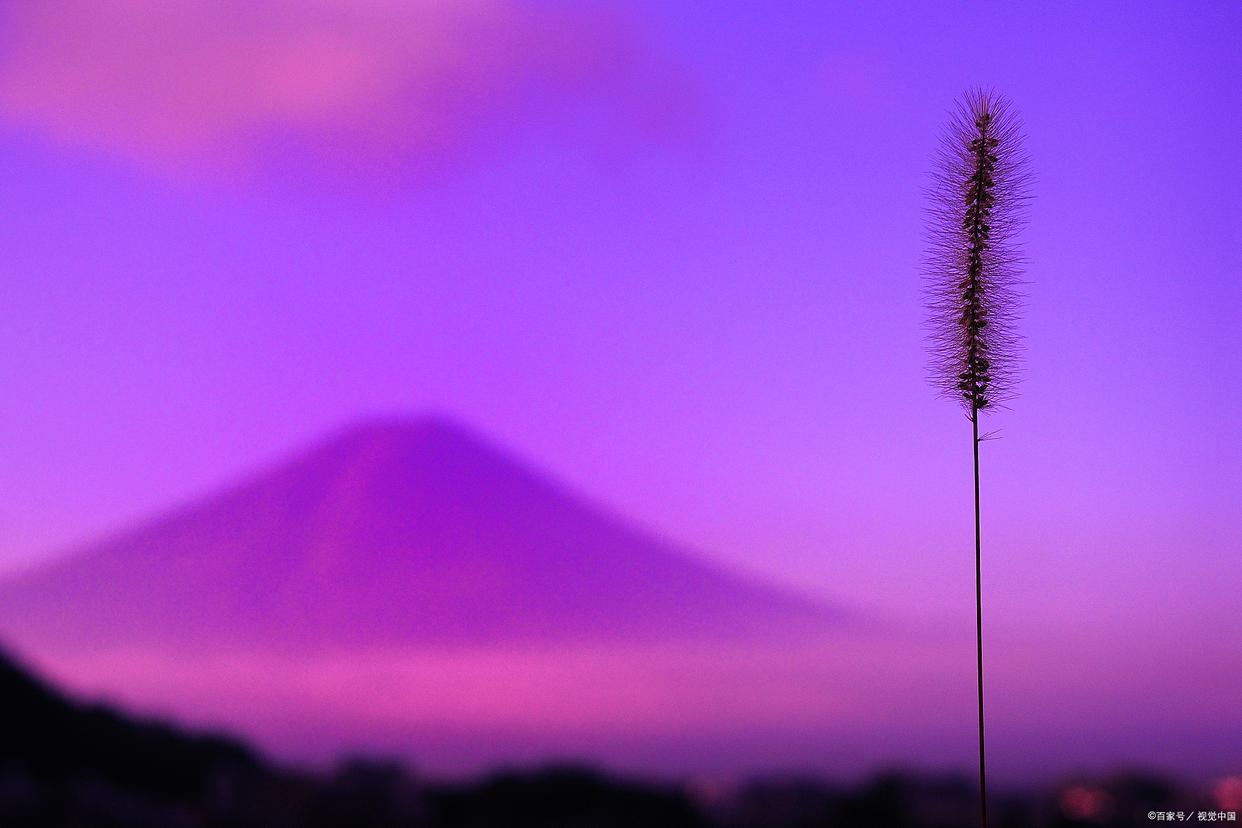 摄影如何掌握色彩搭配知识,摄影调色怎么让绿色变橙色