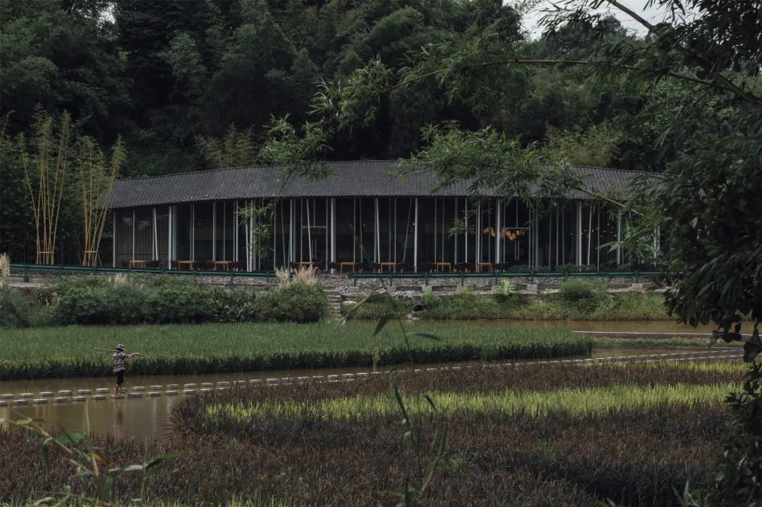 乡村振兴谋划不全不细典型案例,国内外乡村振兴典型代表及案例