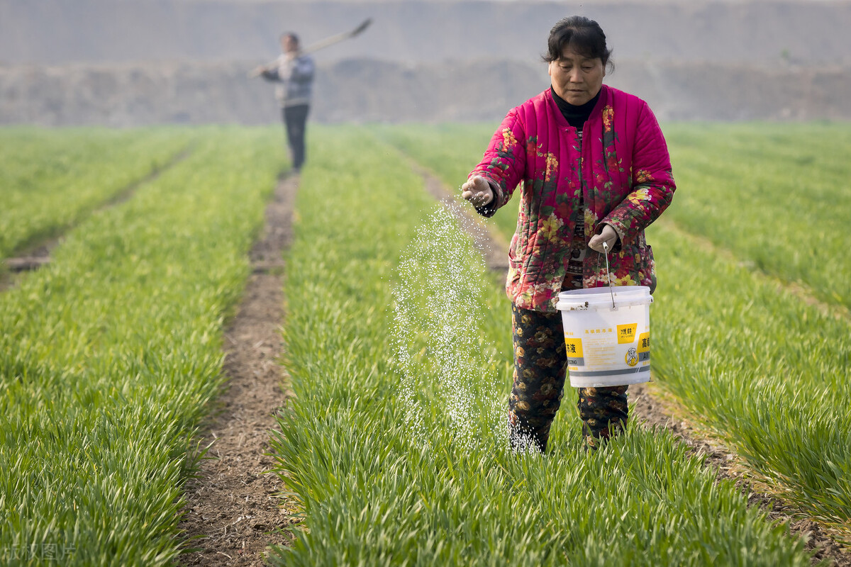 种地怎么自制化肥,农村自制化肥的方法