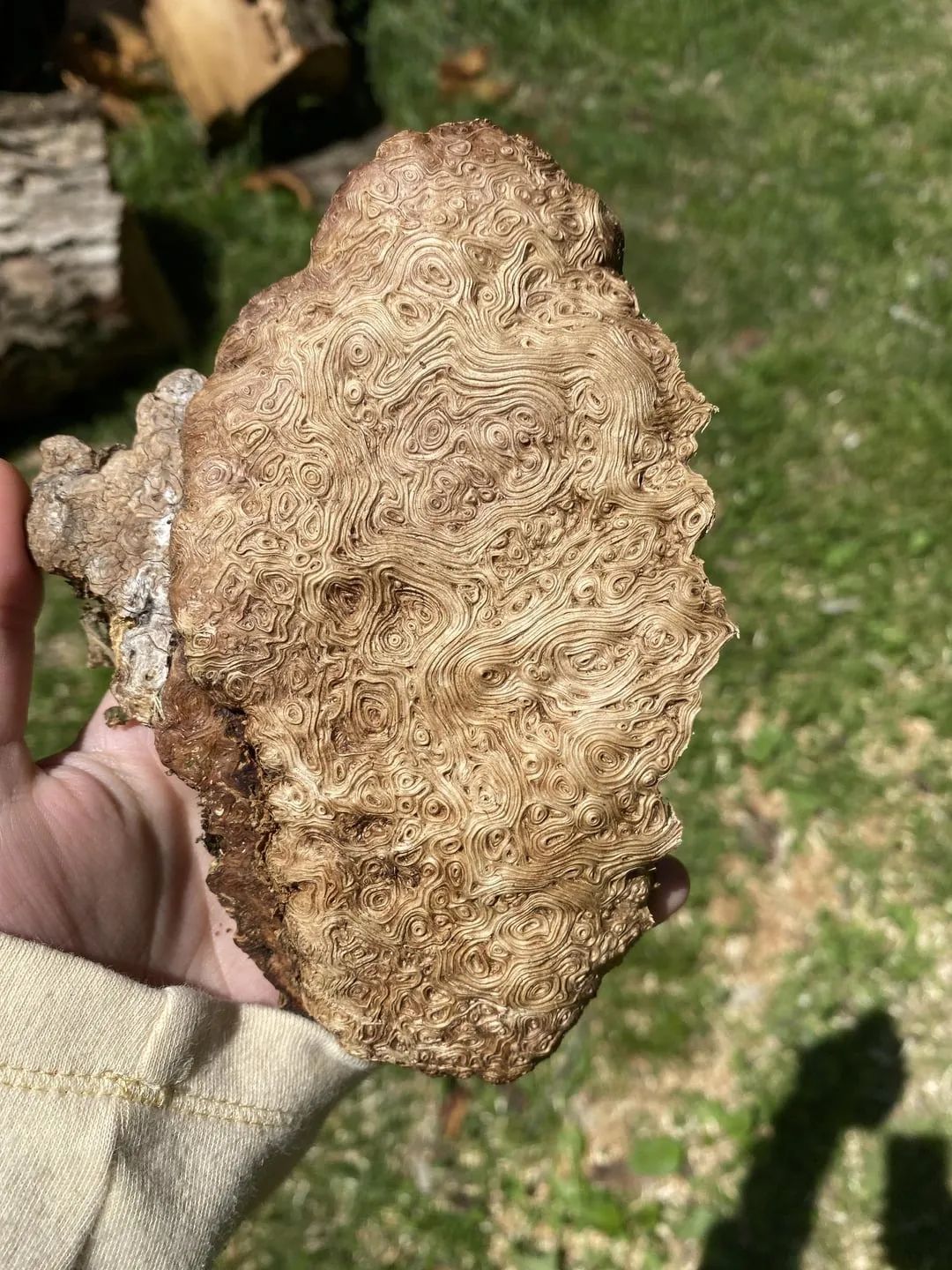 大开眼界30张有趣且罕见的趣图,20张让你涨知识的图