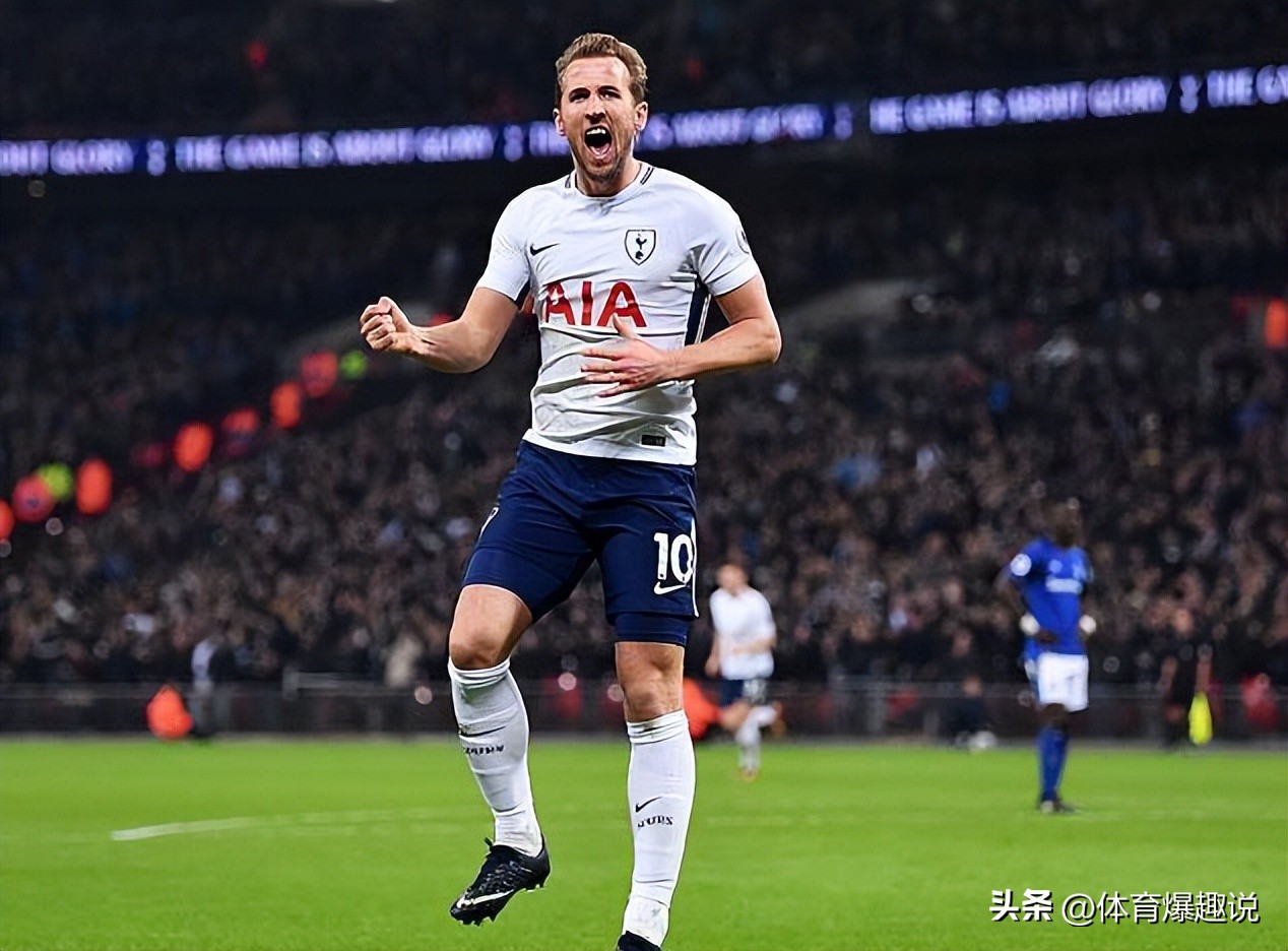 拜仁凯恩多少钱,拜仁1.1亿欧报价凯恩球迷