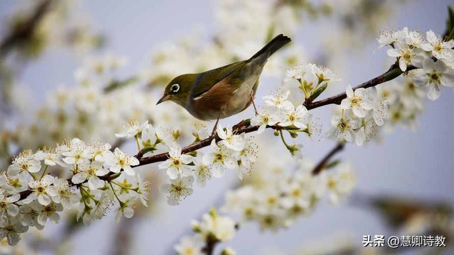 六年级作文课|六下习作三：让真情自然流露（附优秀范文15篇）