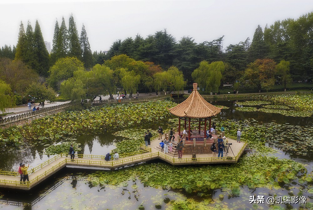 青岛中山公园游玩附近攻略,青岛中山公园游玩攻略