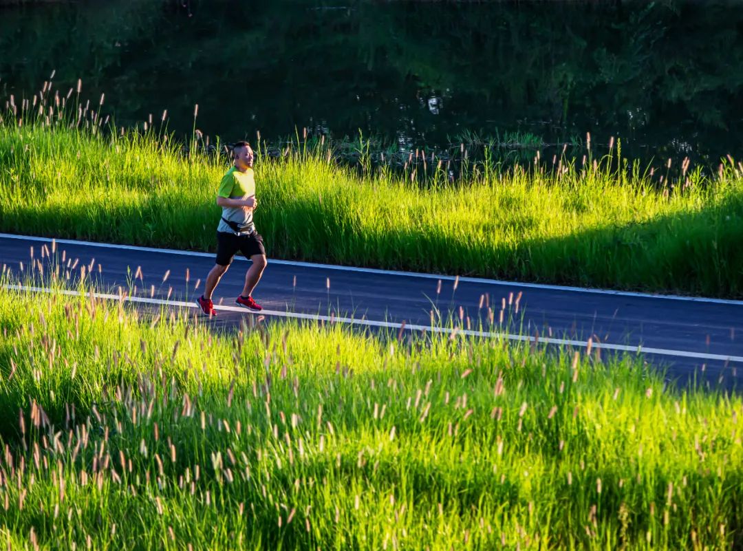 生活在公园城市,生活在公园城市里