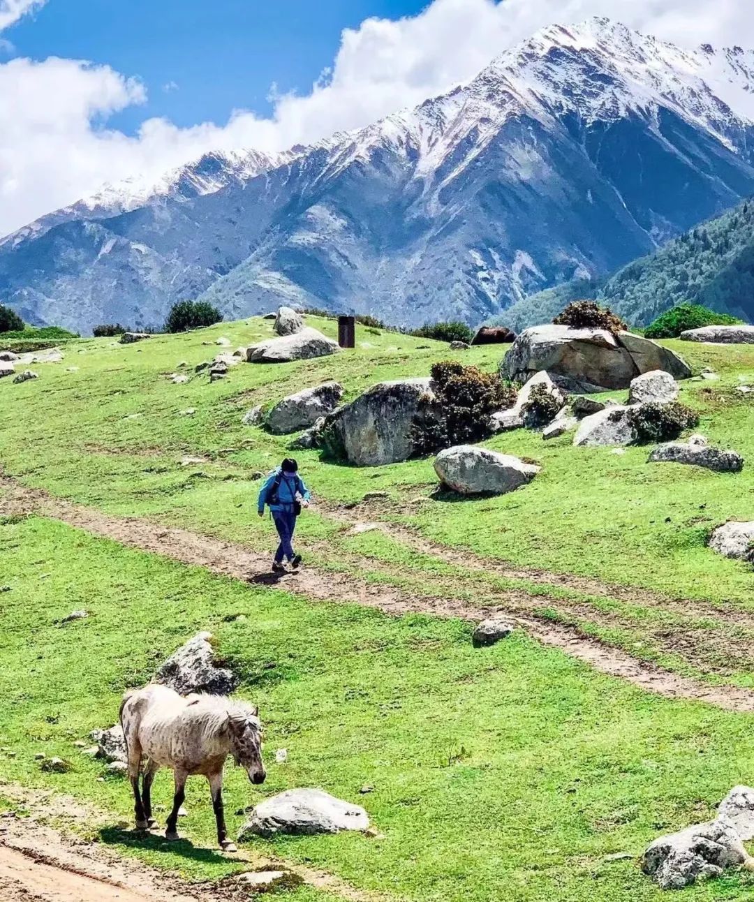 八千元的冲锋衣,冲锋衣八千