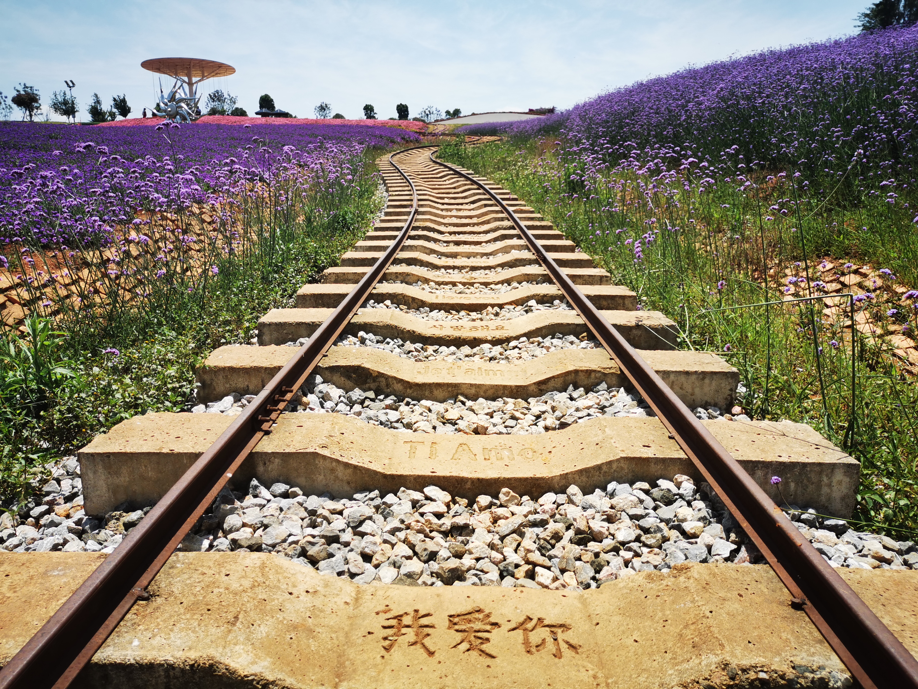 我喜欢你我自己知道就好,我喜欢你你知道我翻译