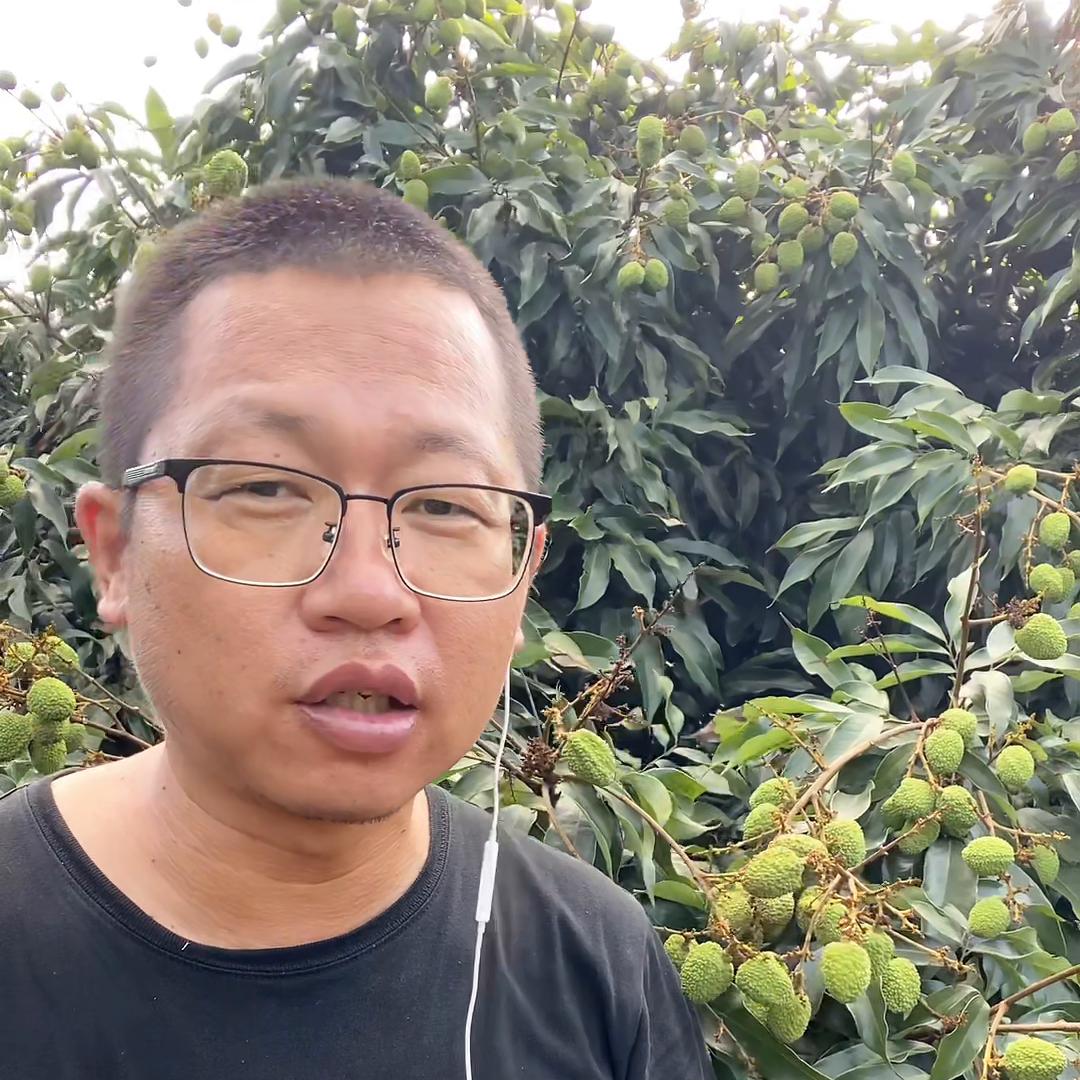 出门如何避坑#三亚阿宇