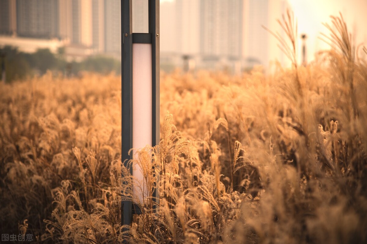 憋尿会引起前列腺炎能根治吗,前列腺炎一憋尿就疼