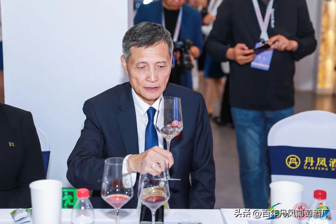 2024第五届丹凤西部红酒节,2024丹凤红酒节