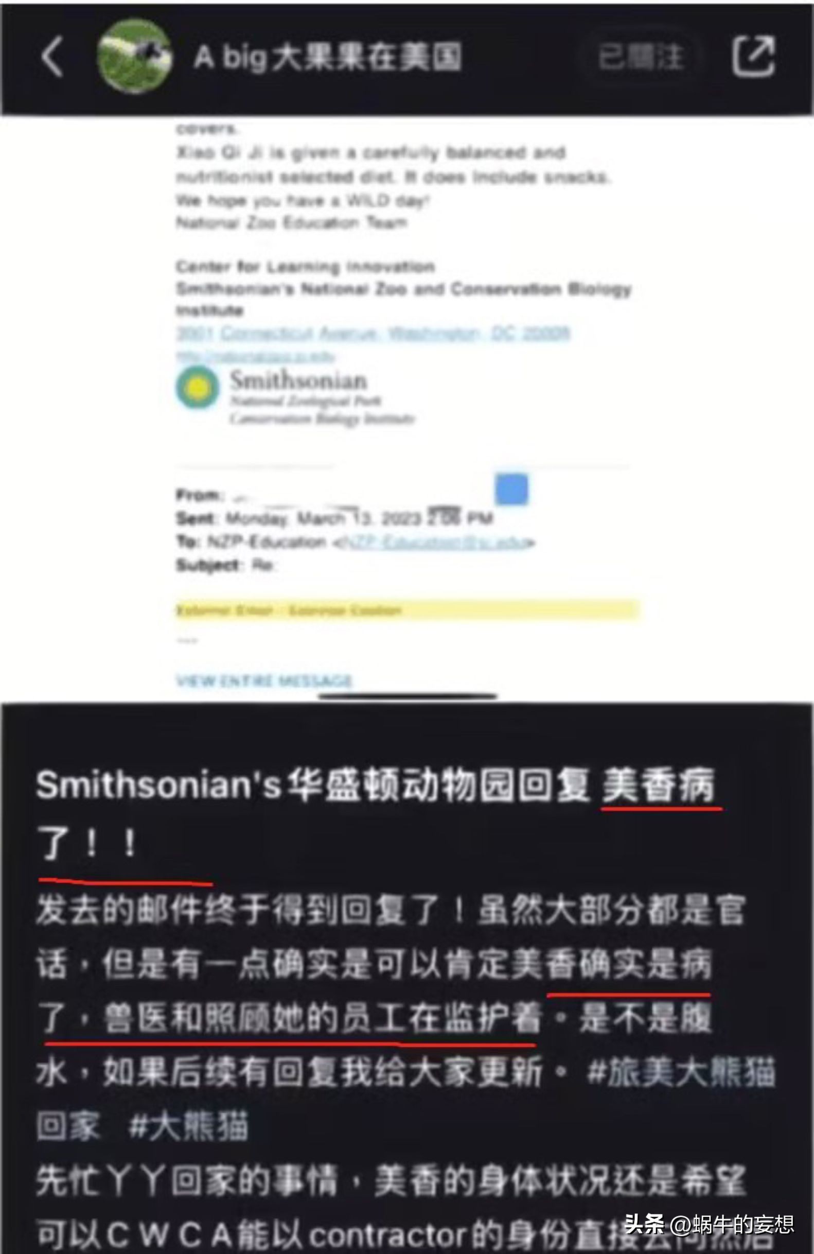 美香一家状况令人担忧,美香得了啥病