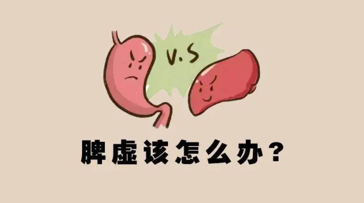 脾胃虚弱吃什么调理脾效果最好,脾胃不好怎么补脾最快最有效大人