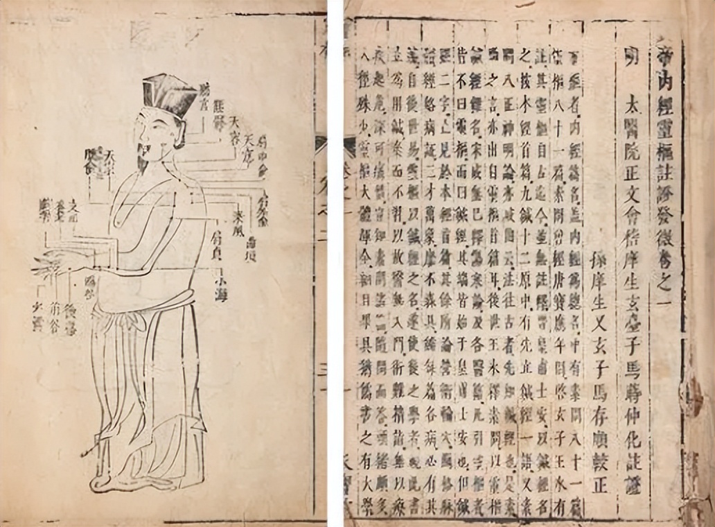 龙胆泻肝丸致尿毒症是真的吗,龙胆丸尿毒症