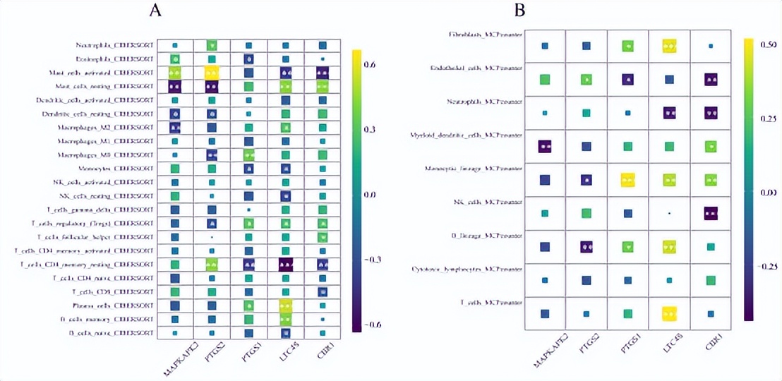 花生四烯酸代谢途径,花生四烯酸代谢途径及药物作用图