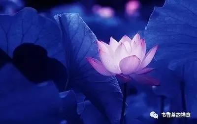 雨天喝茶去哪里,雨天周末喝茶