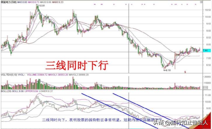 学到极致是什么意思,学到极致便是沧海一粟