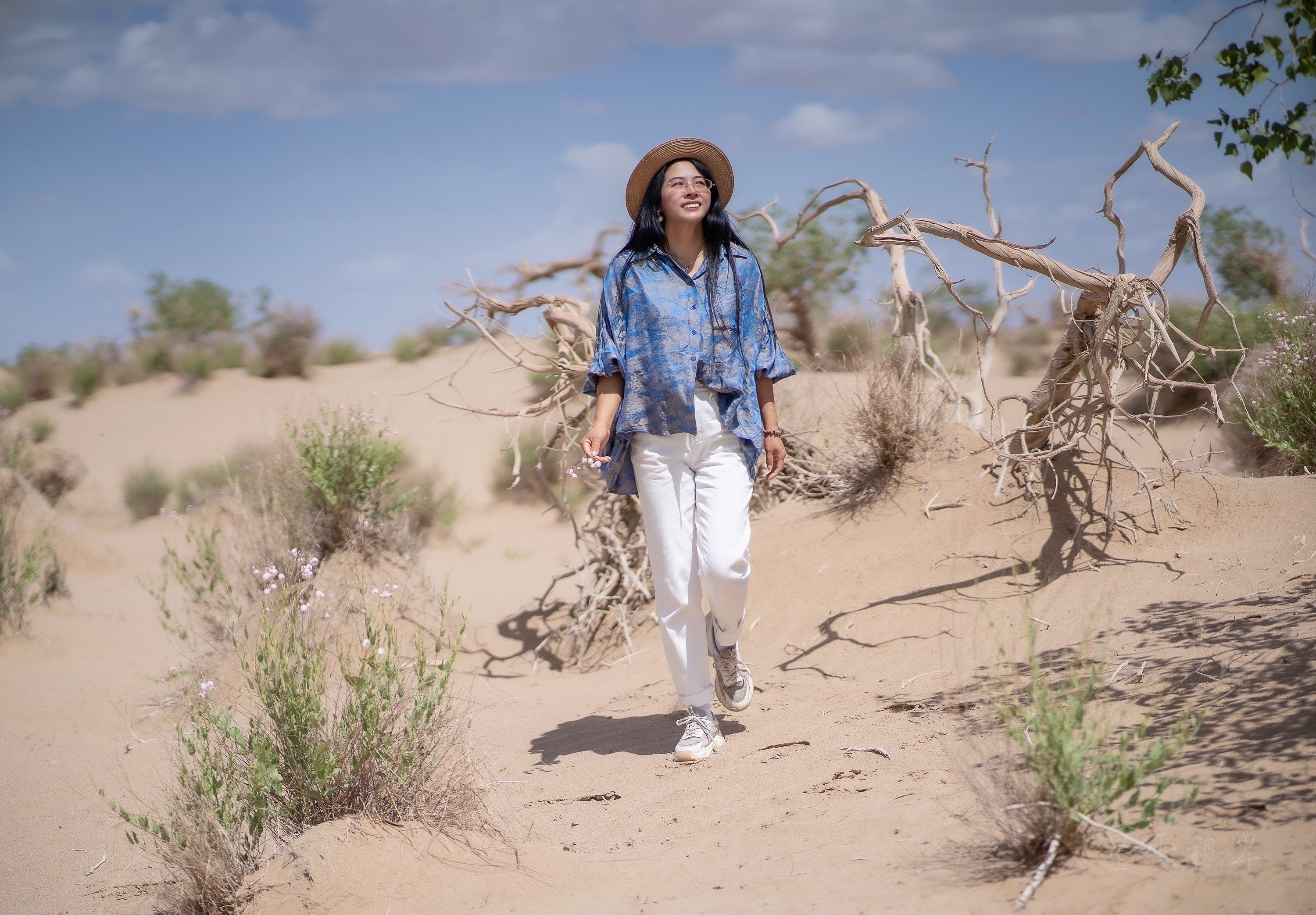 实拍格尔木胡杨林，海拔2800米，连绵1700亩，苍凉辽阔，拍照超酷