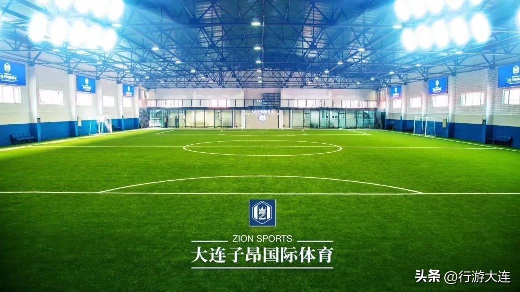 世界杯足球场比赛场地,大连世界杯专业足球场