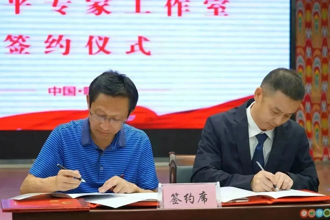 我们这五年,我们这五年变化