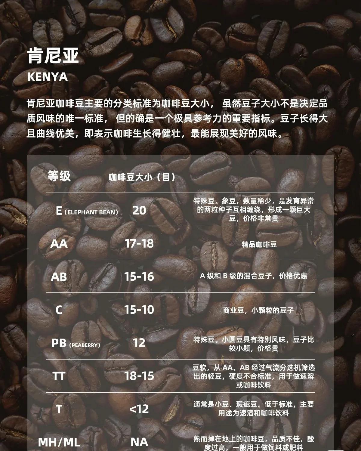 鍜栧暋鍏ラ棬甯歌瘑鍙婂挅鍟¤眴鍒嗕韩,鍜栧暋鍏ラ棬甯歌瘑鍙婃剰寮忓挅鍟¤眴鍒嗕韩